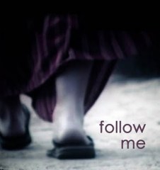 follow me 5 for web